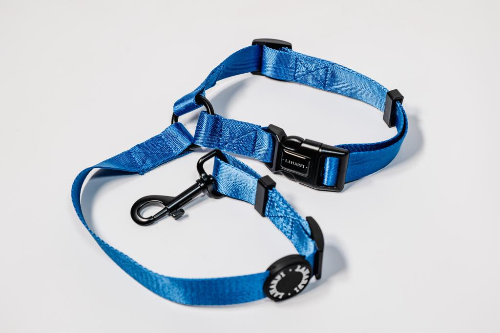 Blue Dog Headrest Seat Belt