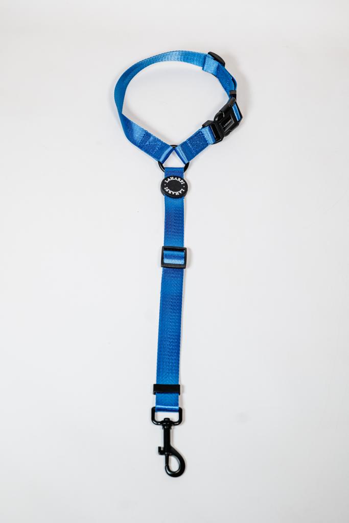 Blue Dog Headrest Seat Belt