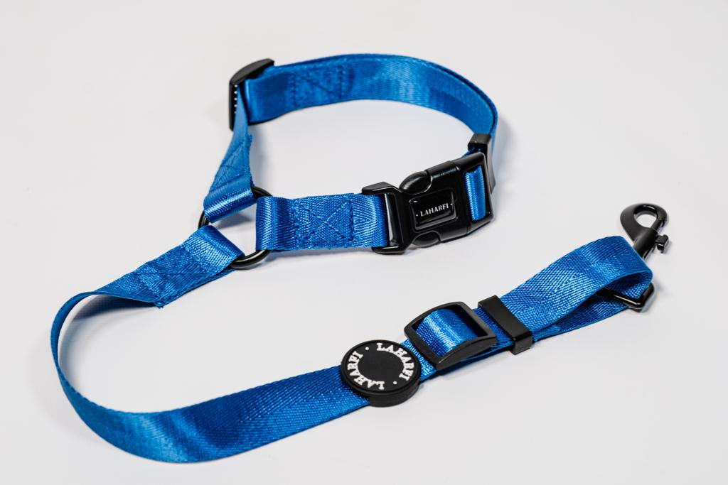 Blue Dog Headrest Seat Belt