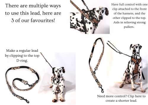 Leopard Print Design Adjustable Dog Training Lead