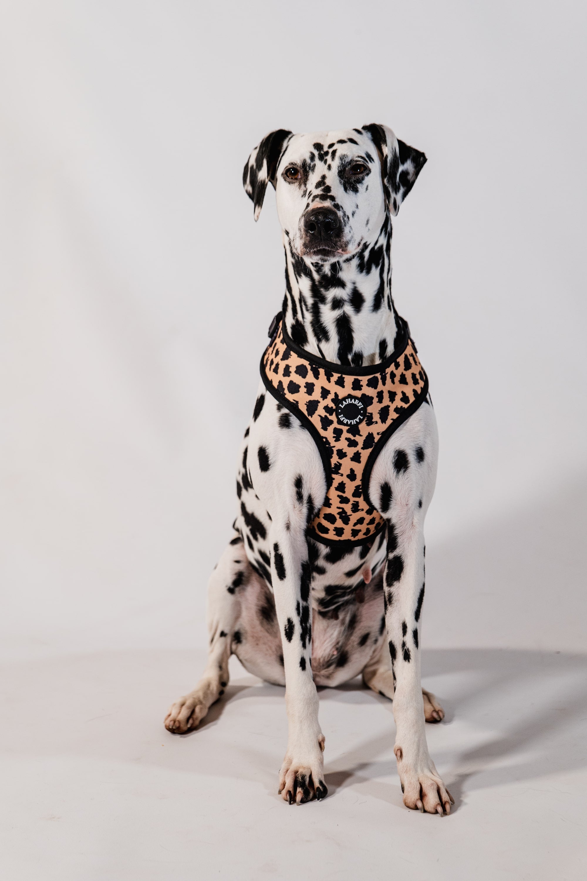 Leopard Print Design Lightweight Dog Harness