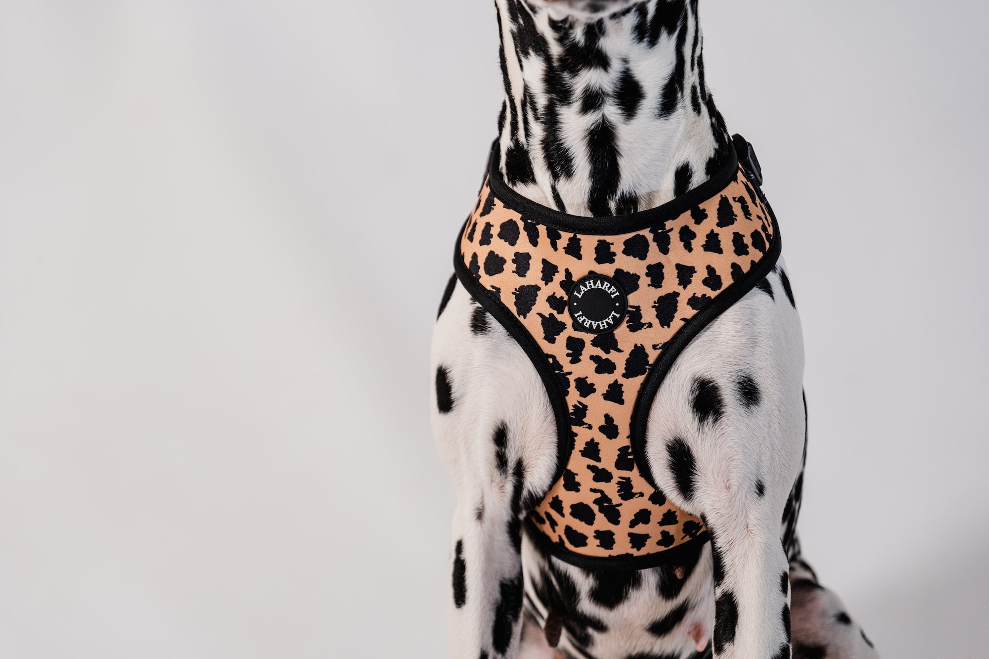 Leopard Print Design Lightweight Dog Harness