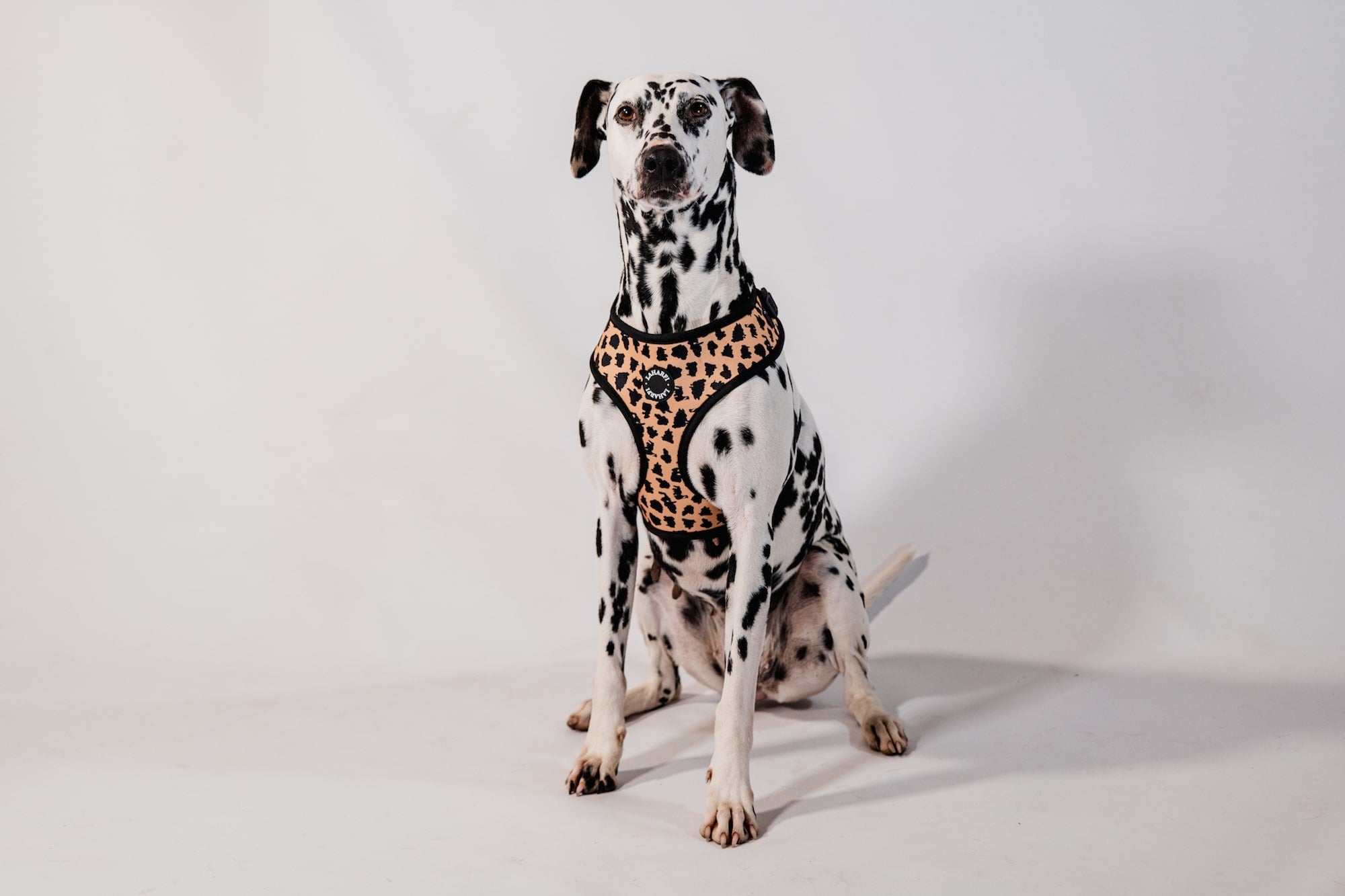 Leopard Print Design Lightweight Dog Harness