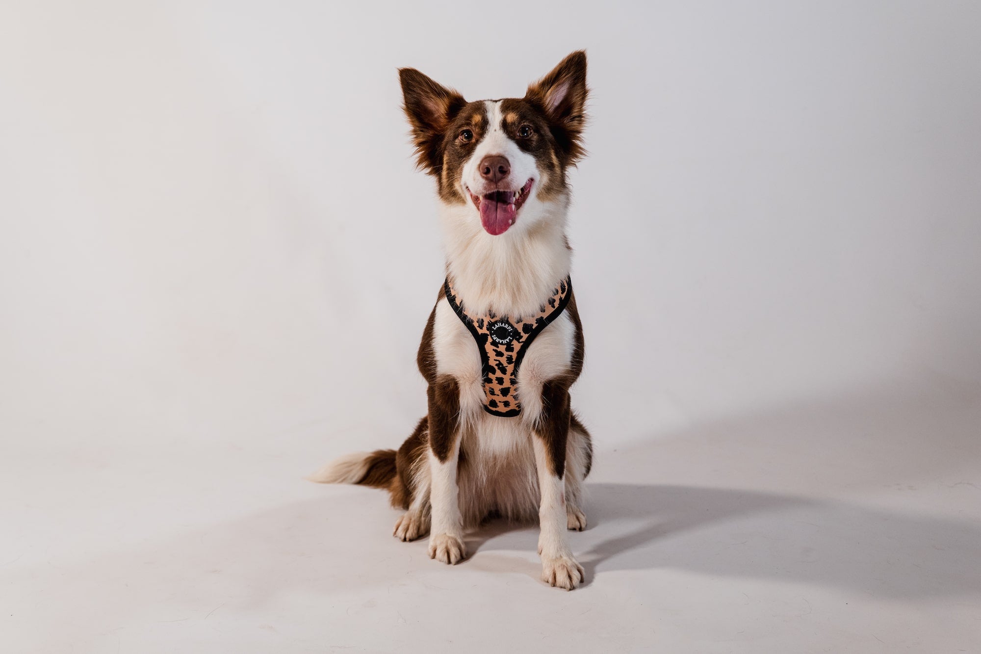 Leopard Print Design Lightweight Dog Harness