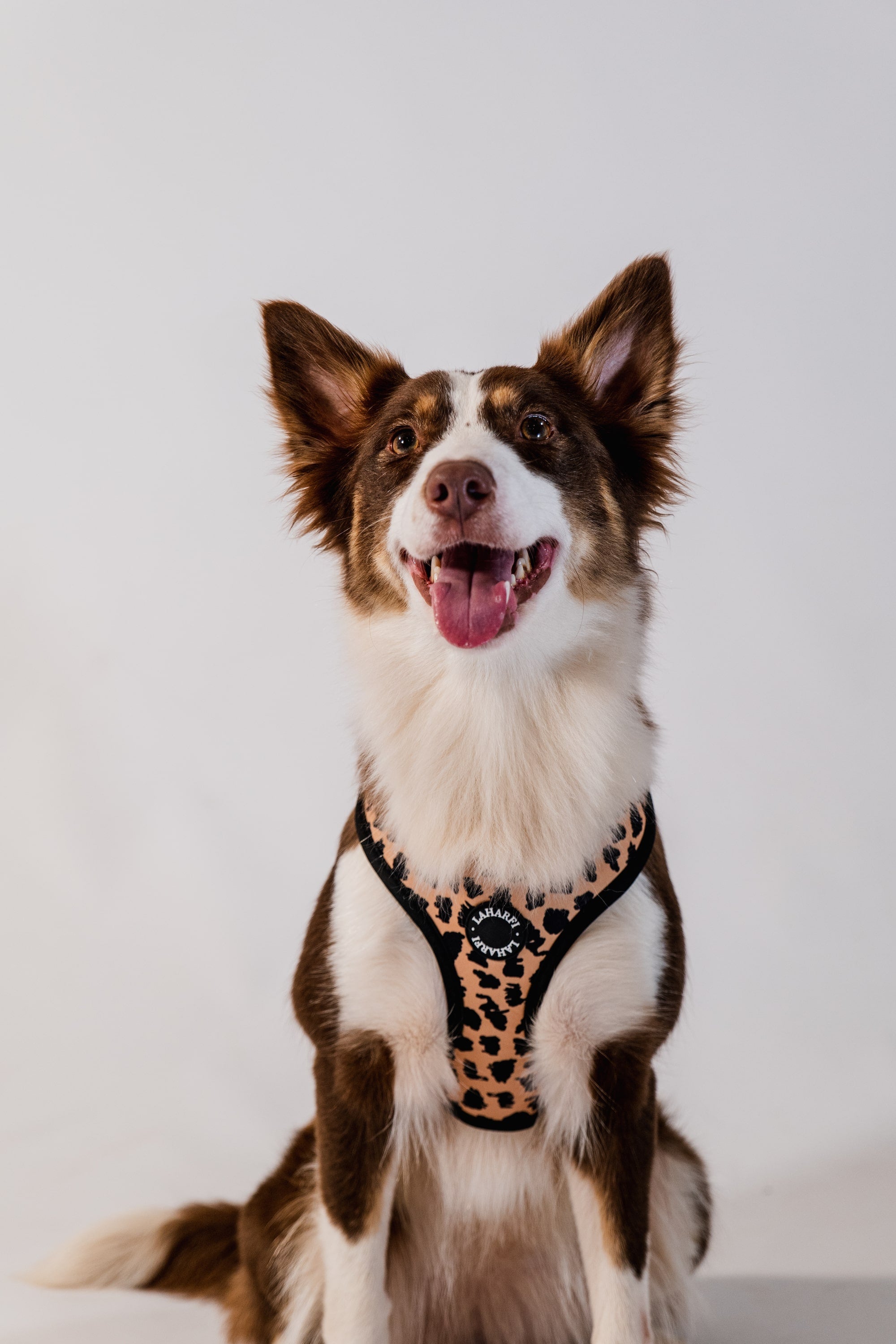 Leopard Print Design Lightweight Dog Harness