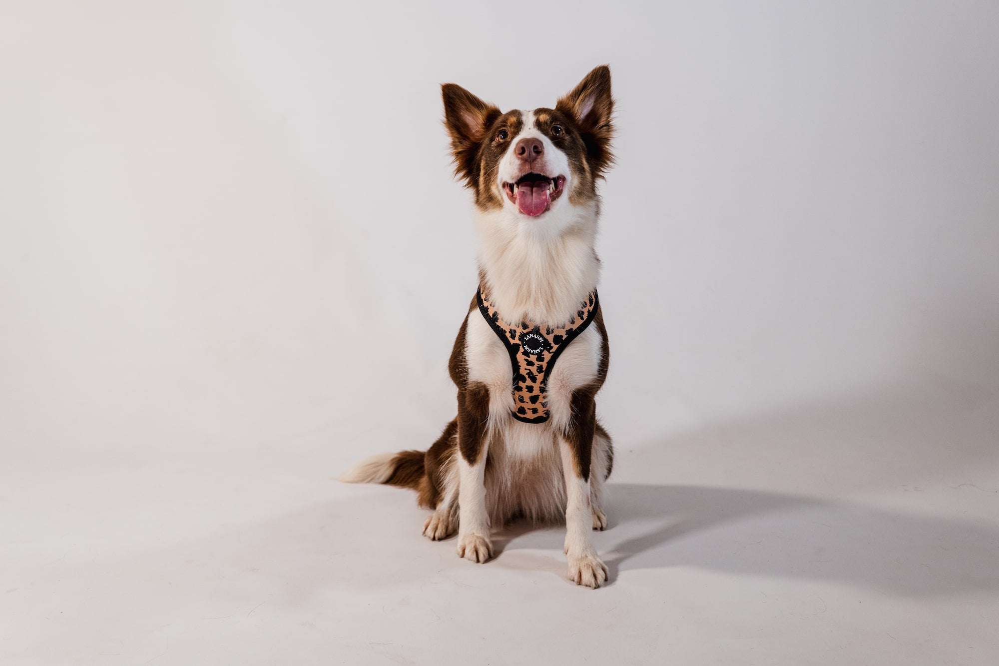 Leopard Print Design Lightweight Dog Harness