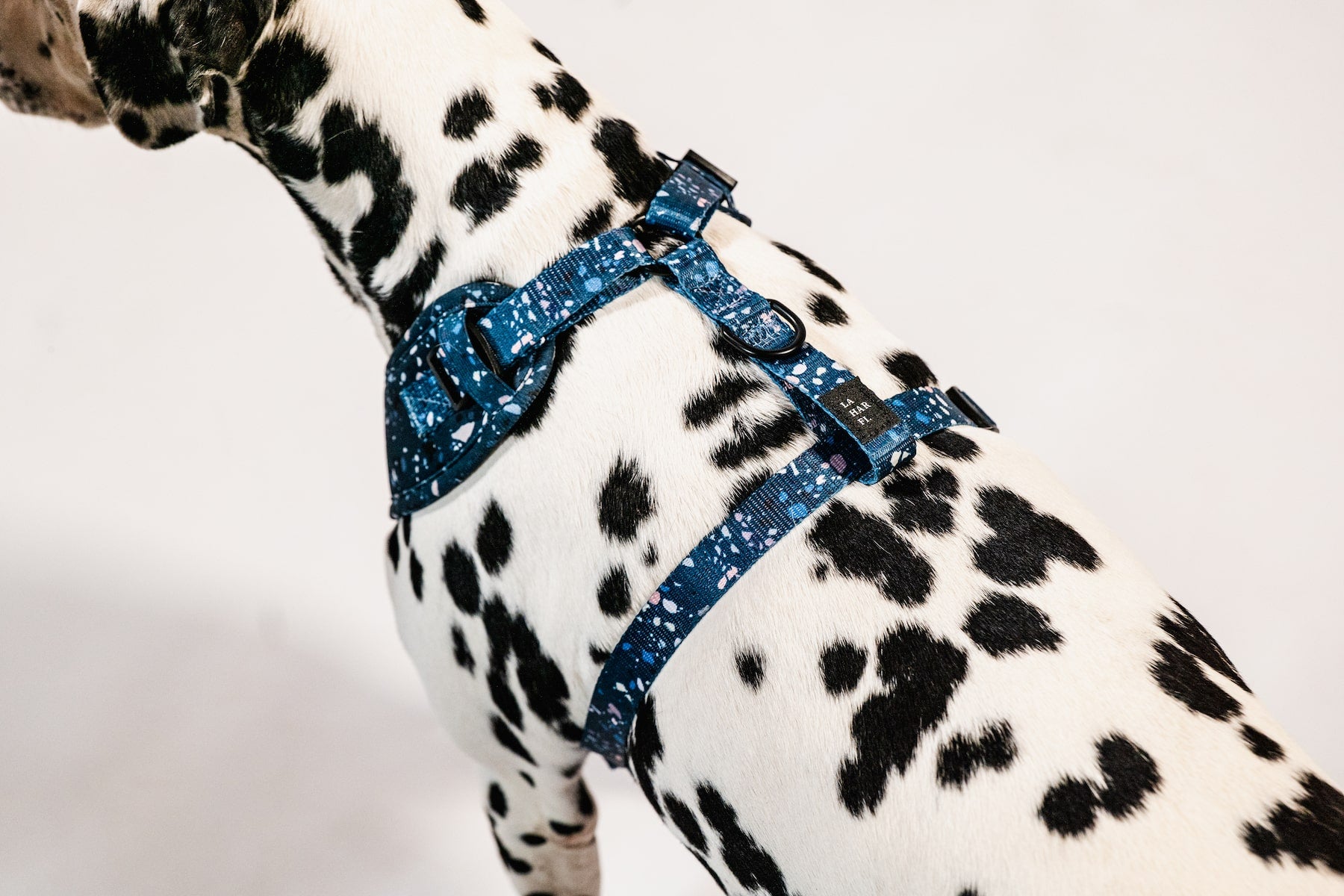 Blue Terrazzo Print Design Lightweight Dog Harness