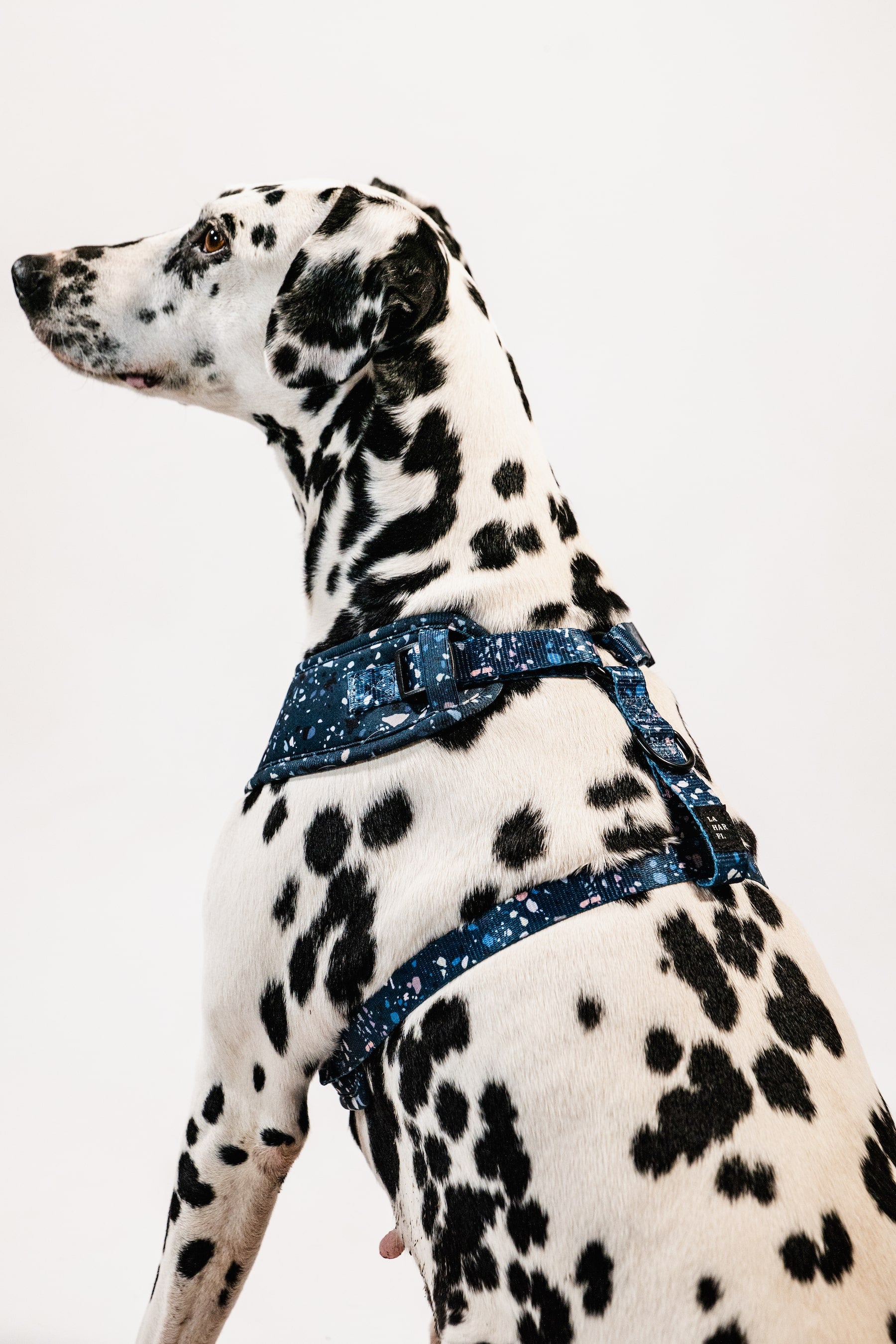 Blue Terrazzo Print Design Lightweight Dog Harness